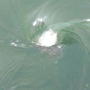 사창해수욕장 이미지