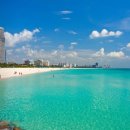 마이애미 이미지