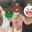 보리토리 이미지