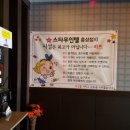 스타무인텔 이미지