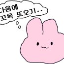 더포호 이미지