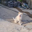 다희네민박 이미지