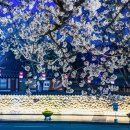 교룡산성 승장동인 이미지