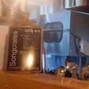 육사시미 콘서트 1 이미지