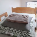 협재마당 이미지