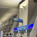 하강 | 비엣젯항공 나트랑 여행 솔직 후기 급하강 기류·좌석