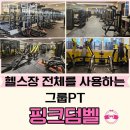 핑크덤벨 네이버블로그