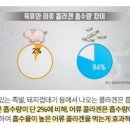 지자이너