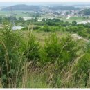 예천목장 이미지