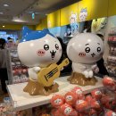 수원-0061 | 도쿄 치이카와 토벌 여행(치이카와랜드, 나가노마켓,매지컬,베이커리 등등)