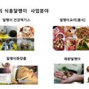 한국의 식용달팽이 사업분야 이미지