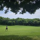 남원읍 신례초등학교 서쪽 100m | 골린이를 위한 제주 2인 골프장 추천!