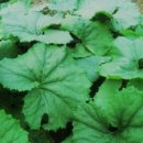 송림농장 이미지