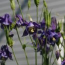 묵동-071 이미지