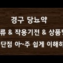 당뇨약 종류와 작용기전 & 장,단점 쉽게 이해하기#63 이미지