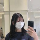 천안미용실 추천 비오티디헤어 청당점 퍼스널컬러 중단발레이어드 후기 은경디자이너 리뷰