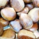 노령주유소 이미지