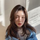 디레이어드