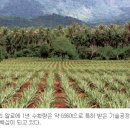 동방농장 이미지