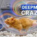 How DeepMind’s New AI Predicts What It Cannot See 이미지