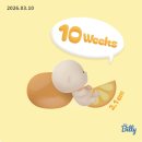 [👶8주~13주] 초기 임산부의 일상이란..?