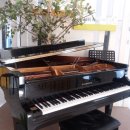 신성음악학원 이미지