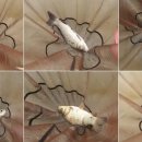 함박골낚시터 이미지