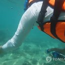 주문진스쿠버
