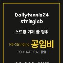 데일리테니스24 인계점