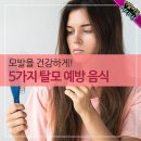 2월20일 뉴스브리핑 이미지