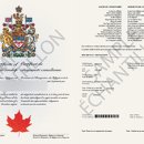 김의주행정사 사무소 이미지