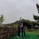 안면도애견펜션 후기, 2박3일동안 강아지랑 태안 여행 (애견운동장, 오션뷰)