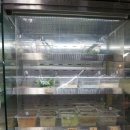 마라마라 이미지