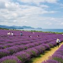 진성 마을회관 이미지