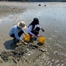 자연담은부부한약국 | 태안 가족펜션 추천, 무료 갯벌체험 되는 더담은펜션, 2월에 3명이 다녀온 솔직 후기