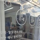 봉쥬르 살롱 이미지