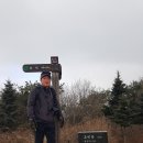 아라메길(도비산) 이미지