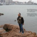 황금수