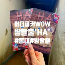 WOW | 홍대 방탈출 머더퍼커WOW HA 테마 후기 관찰력 빌런이 말하는 꿀팁과 솔직한 기록
