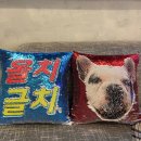 오르치그로치 | [안산 중앙동 애견카페] "오르치그로치" 방문 후기