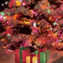 유어메리(your merry)