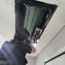 물개키즈스윔 이미지