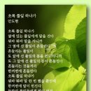 초록 풀잎 하나가 - 안도현 이미지