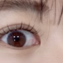 속눈썹하는 언니2호점 울산북구점 네이버블로그