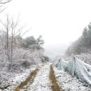 첫눈에평창 이미지