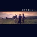 YOU WIN PC 이미지