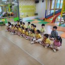 숲놀이 - [IB국제교육 '나'다움] 개미에게 배우는 함께하는 힘! 이미지