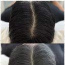 자연스테이 이미지