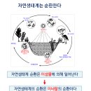 흙의 원소와 인체의 원소 이미지