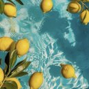 뽀샤시(c) 피부관리 | [ BEAUTY ] 헤이데일리 NMN C 후기 🍋 하루 한 포 피부관리 루틴으로 바꿔본 솔직 후기